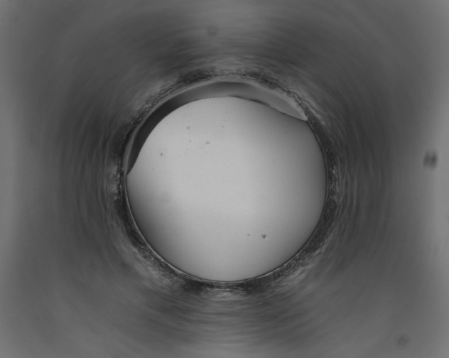 X0000092260597200710121341