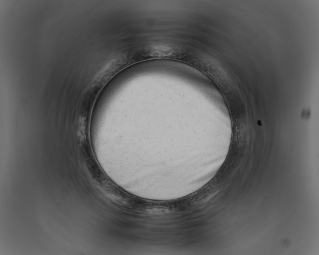 X0000092260598200710121341