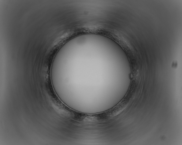 X0000092260599200710121341