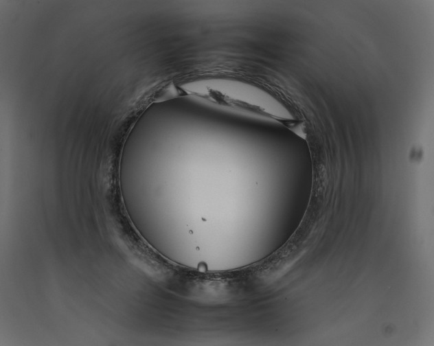 X0000092260600200710121341