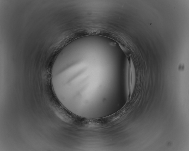 X0000092260601200710121341