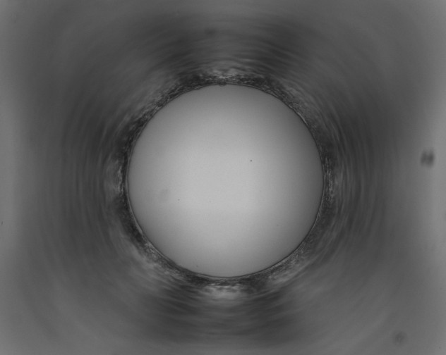 X0000092260606200710121341