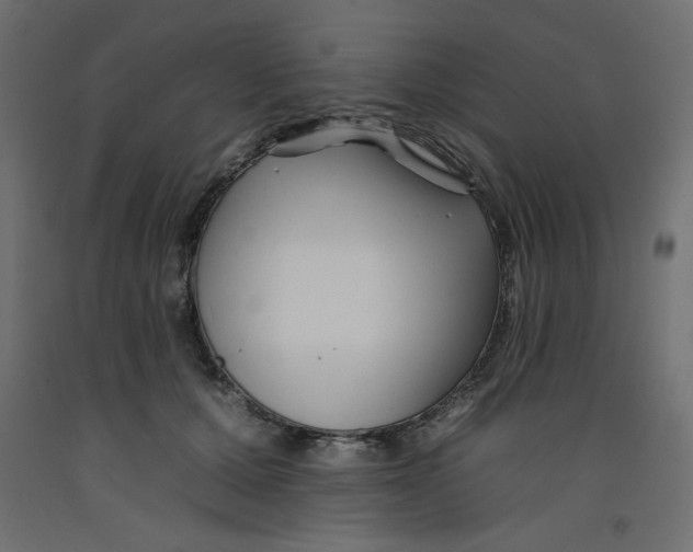 X0000092260607200710121341