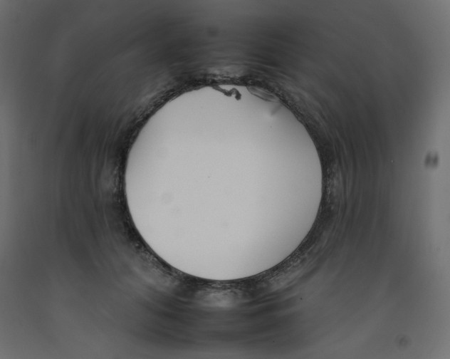 X0000092260608200710121341