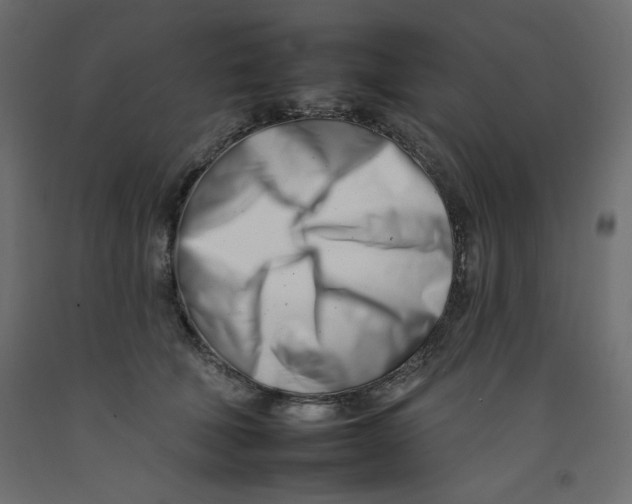 X0000092260610200710121341