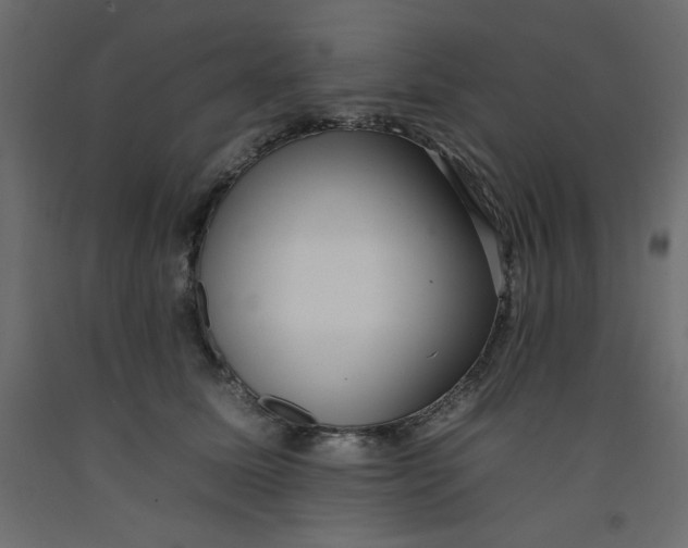 X0000092260611200710121341