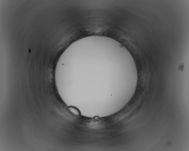 X0000092260612200710121341