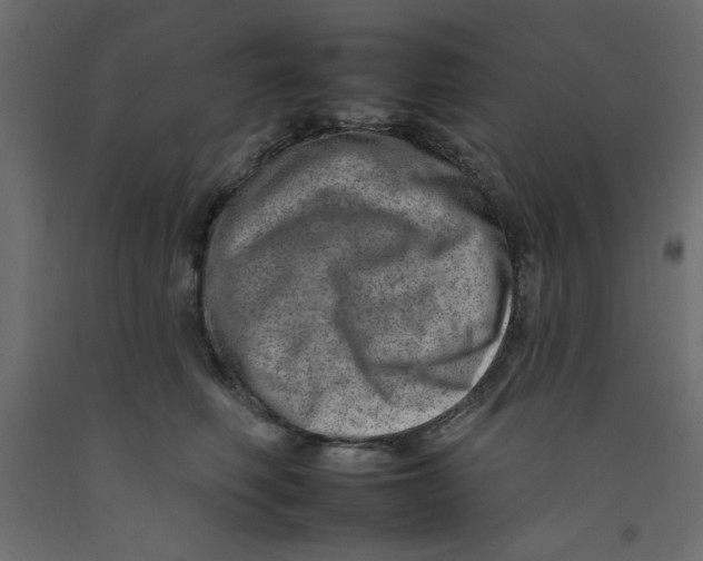 X0000092260614200710121341