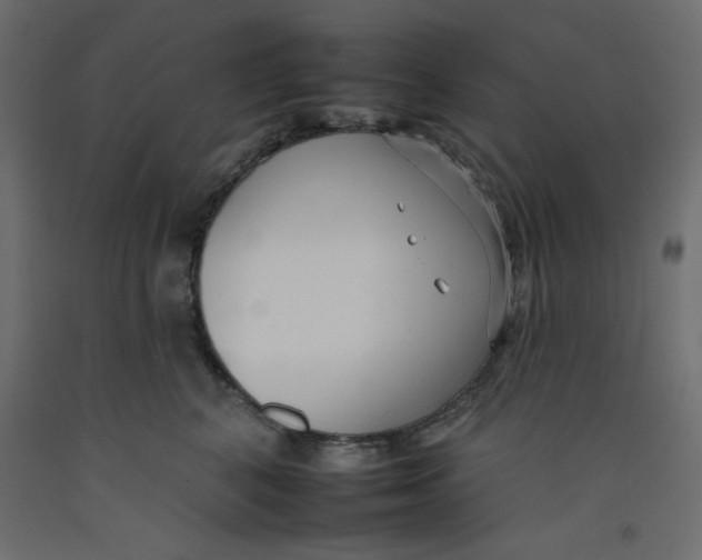 X0000092260616200710121341