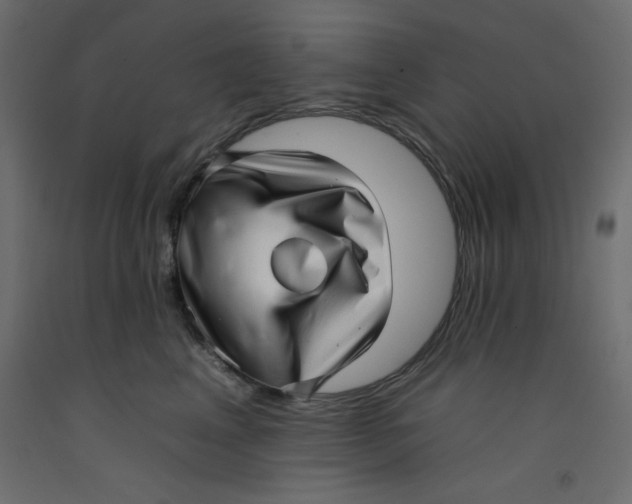 X0000092260617200710121341