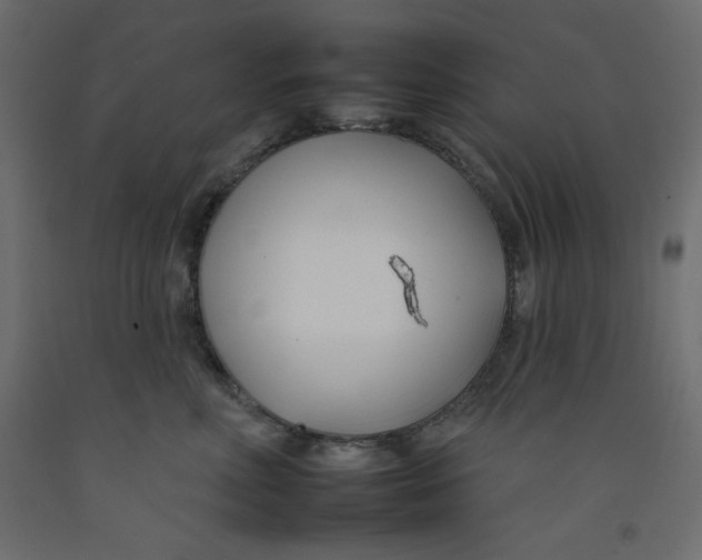 X0000092260618200710121341