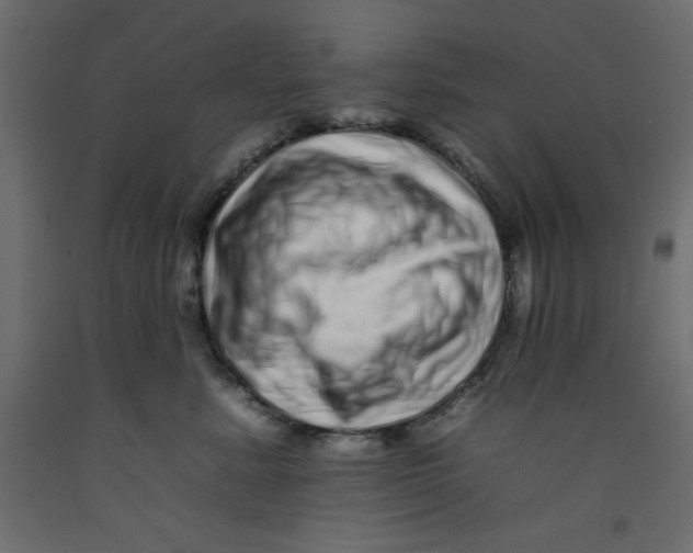 X0000092260619200710121341