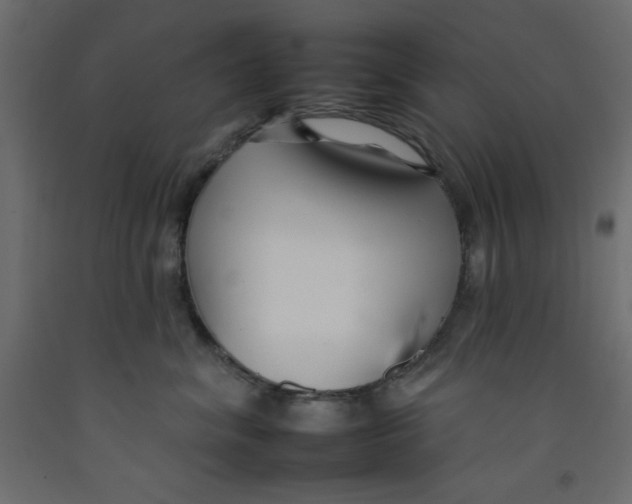 X0000092260620200710121341