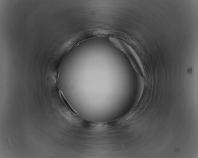 X0000092260621200710121341