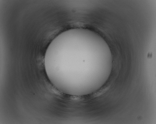 X0000092260624200710121341