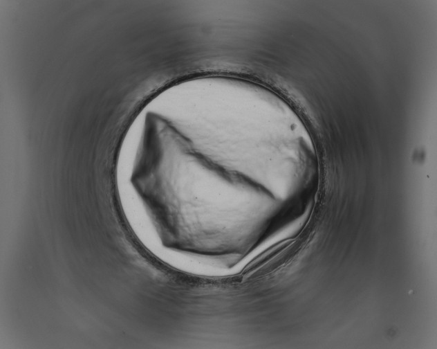 X0000092260625200710121340