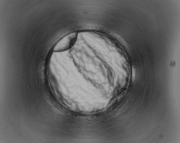 X0000092260627200710121340