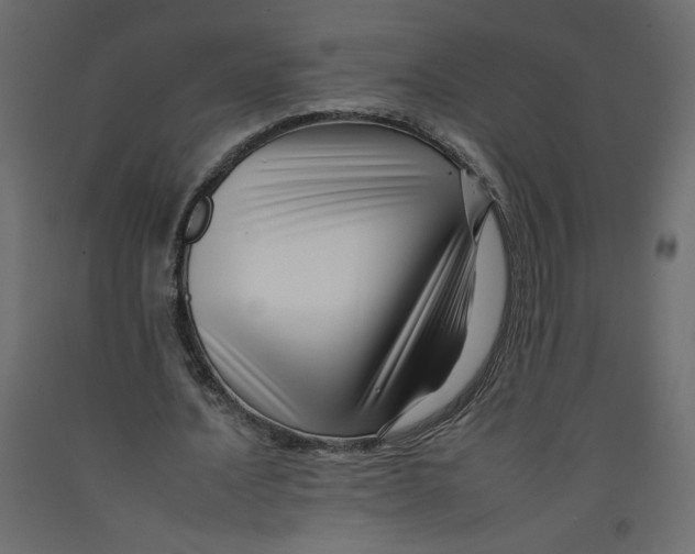 X0000092260628200710121340