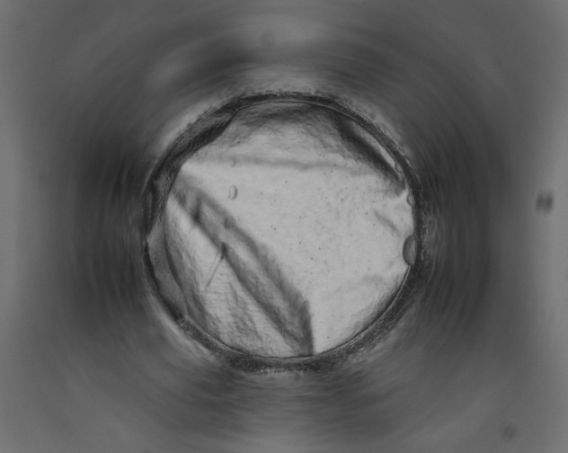 X0000092260629200710121340