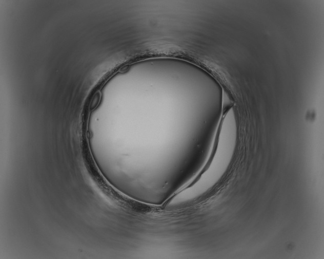 X0000092260630200710121340