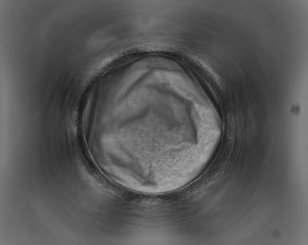 X0000092260631200710121340