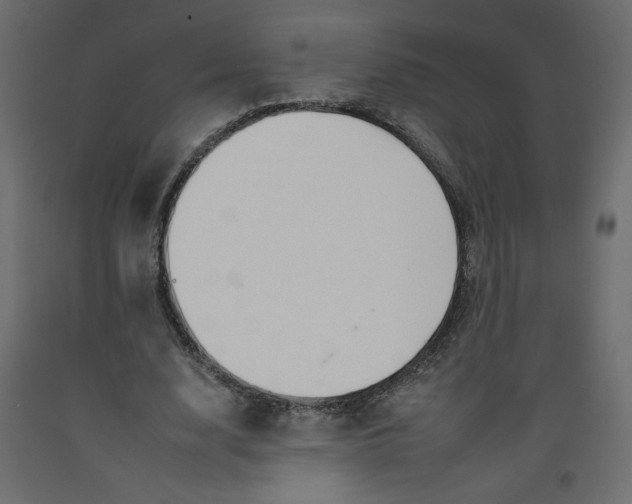 X0000092260632200710121340