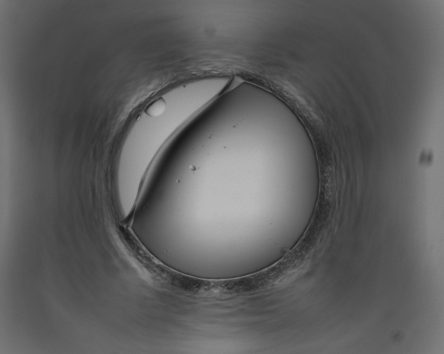 X0000092260634200710121340