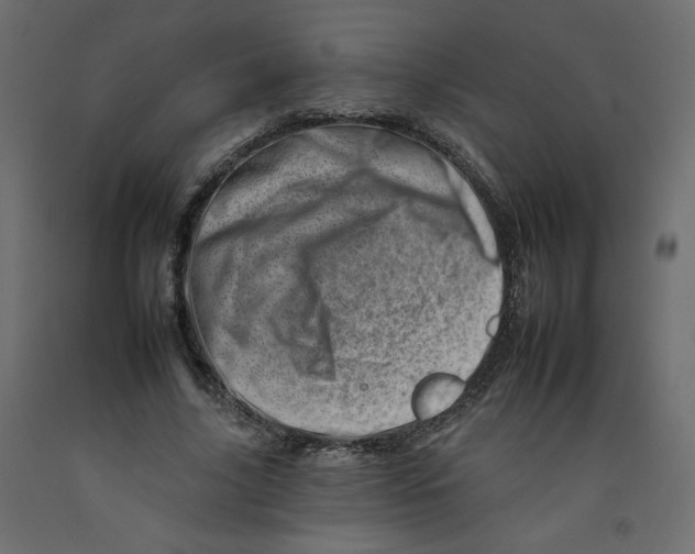 X0000092260635200710121340