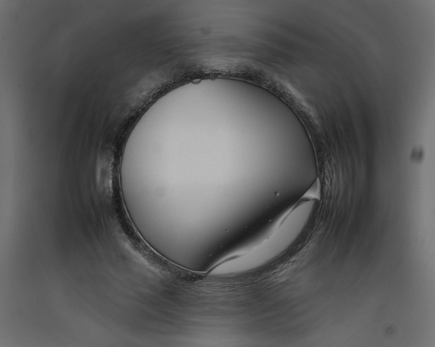 X0000092260637200710121340