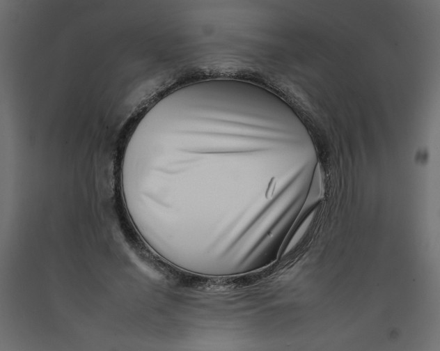 X0000092260638200710121340