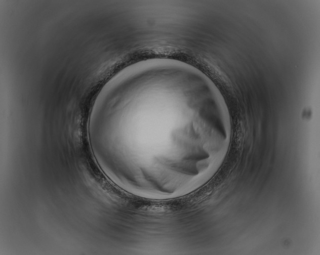 X0000092260639200710121340