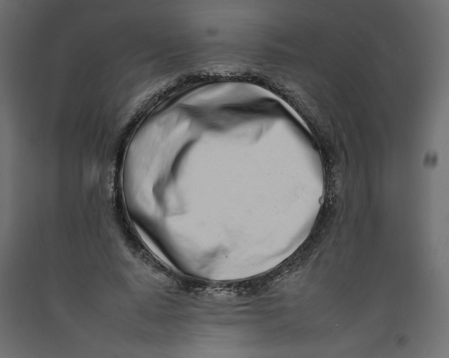 X0000092260640200710121340