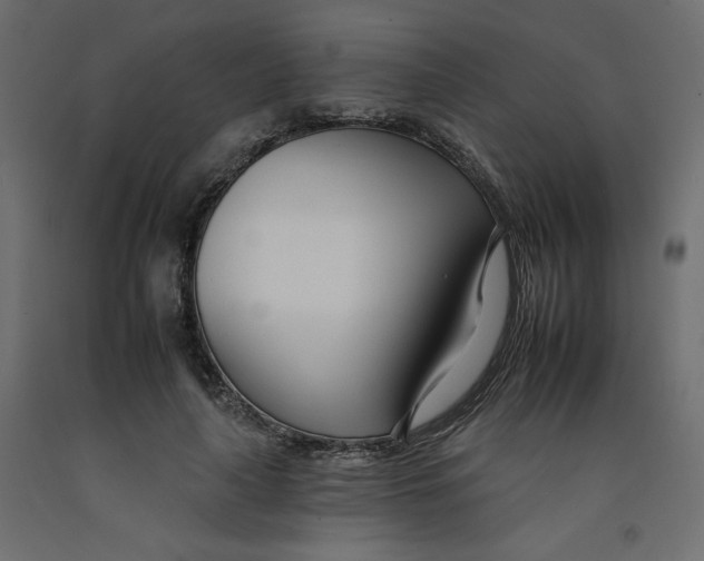 X0000092260643200710121340