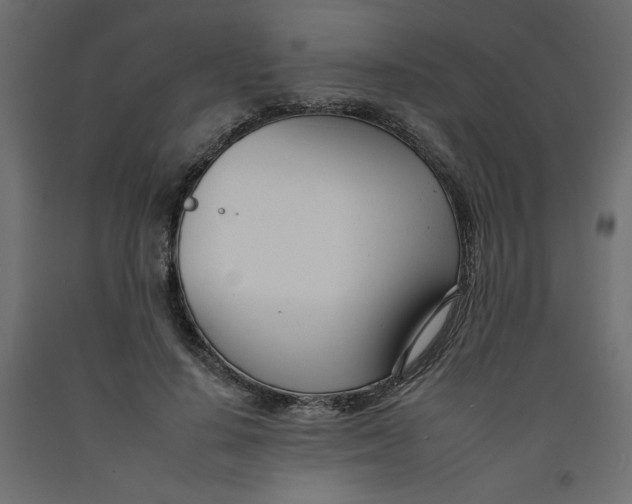 X0000092260644200710121340