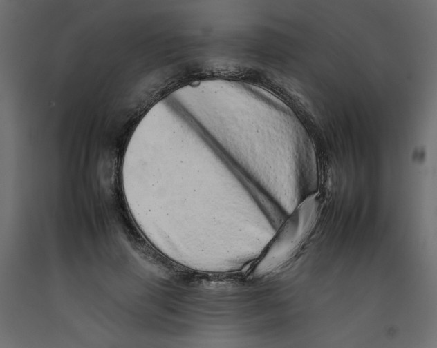 X0000092260645200710121340