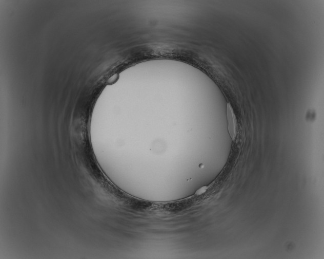 X0000092260648200710121340