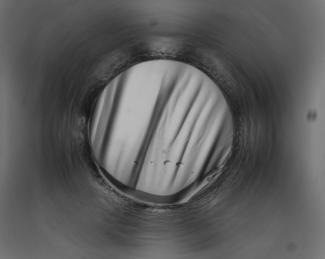 X0000092260649200710121340