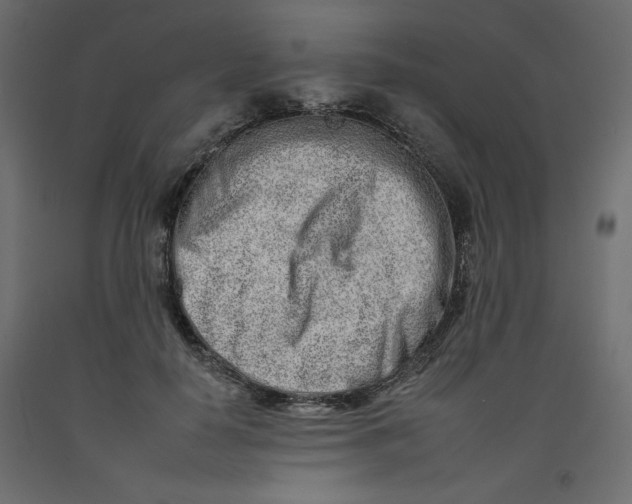 X0000092260650200710121340