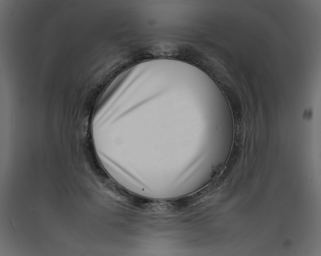 X0000092260652200710121340