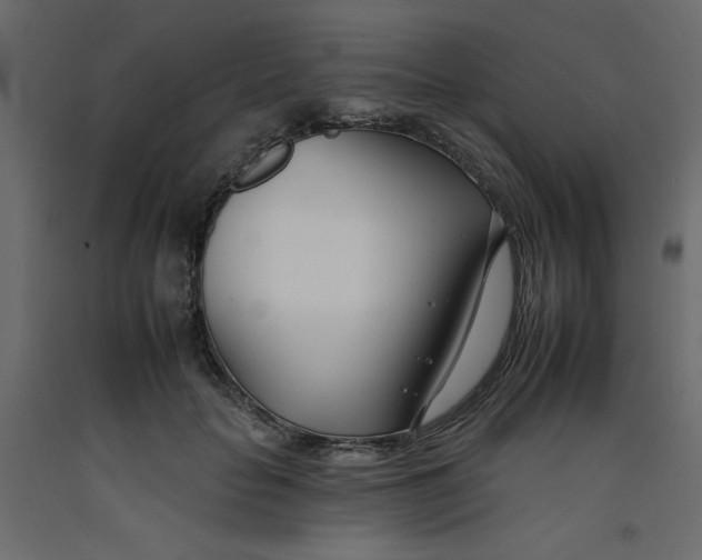 X0000092260653200710121340