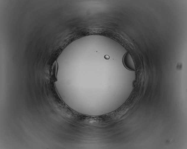 X0000092260655200710121340