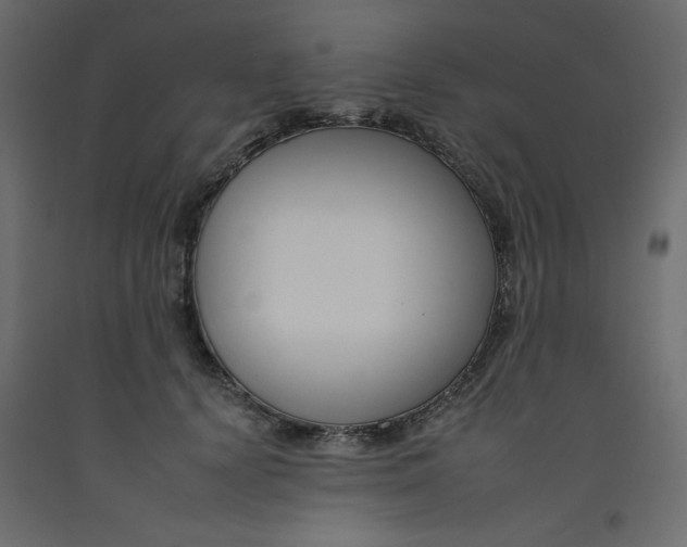 X0000092260656200710121340