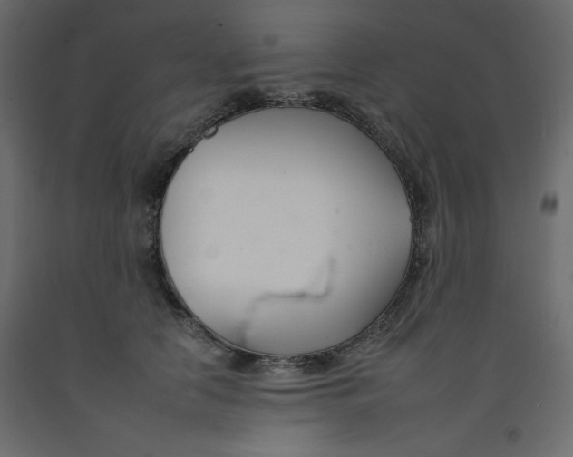 X0000092260658200710121340