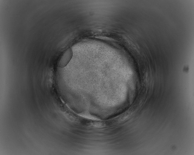 X0000092260659200710121340