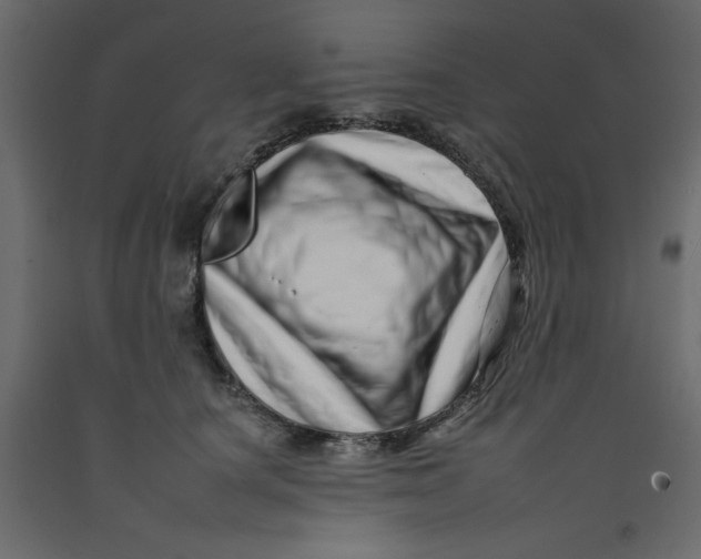 X0000092260660200710121340