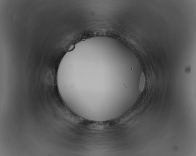 X0000092260661200710121340