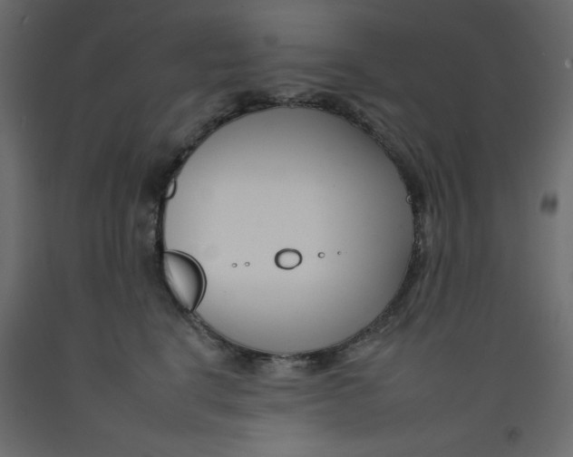 X0000092260664200710121340