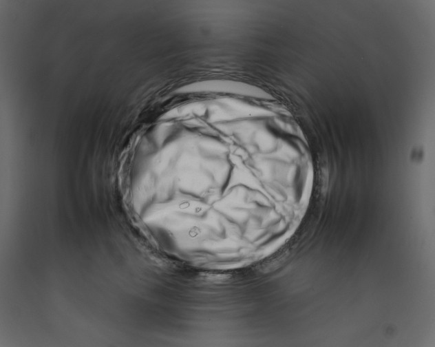 X0000092260665200710121341