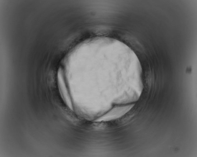 X0000092260667200710121341