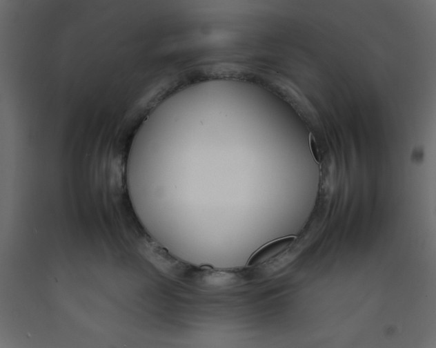 X0000092260669200710121341